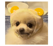843284347