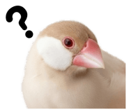 843284409