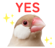 843284412