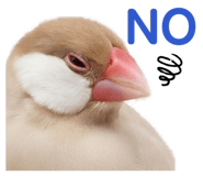 843284413