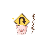 843284431