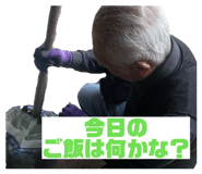 843284706