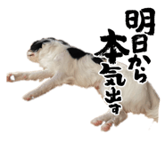 843285102
