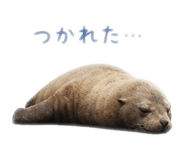 843285444