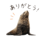 843285451