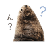 843285455