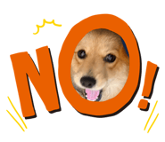 843285626