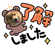 843285629