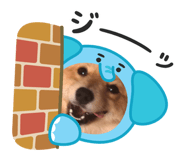 843285635