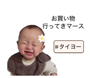 843285682