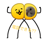 843285694