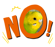 843285713