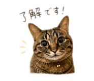 843286665