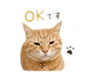 843286666