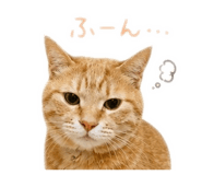 843286671
