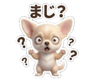 843286916