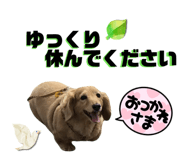 843286957