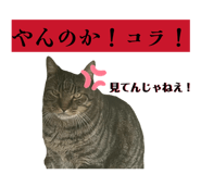843286962