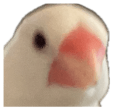 843287489
