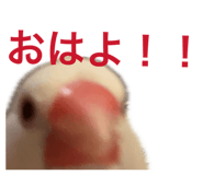 843287490