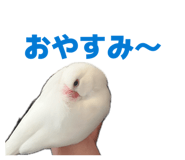 843287491