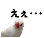 843287493