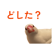 843287495
