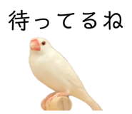 843287496