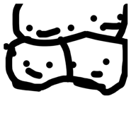 843287623