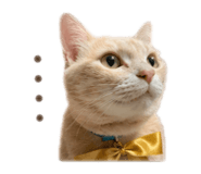 843287855