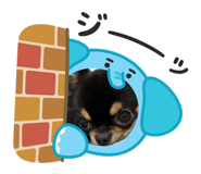 843288231