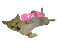 843288799