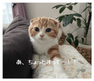 843288846