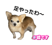 843288994