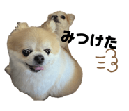 843288996