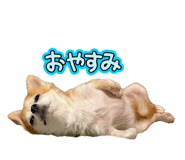 843288997