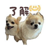 843288999