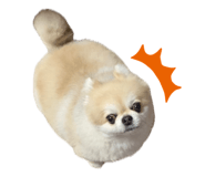 843289000
