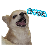 843289004
