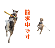 843289129