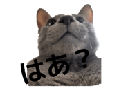 843289330