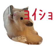 843289513