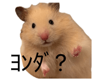 843289520