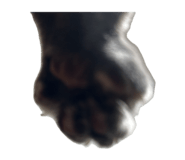 843289850
