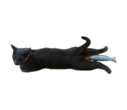 843289858