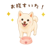 843290278