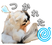843290324