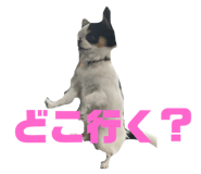 843290332