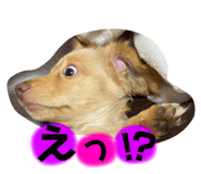 843290553