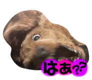 843290562